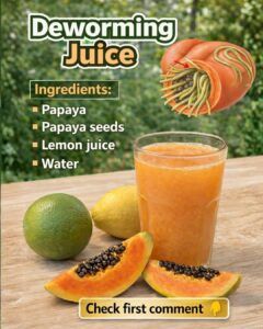 Papaya: Benefits and Properties for Your Health