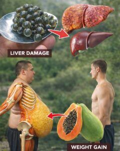 Papaya Seeds: The Hidden Wellness Secret You’ve Been Throwing Away