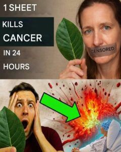 The Forgotten Leaf That Awakens the Body’s Natural Defenses