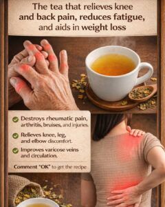 A Simple Leaf Tea for Joint Comfort, Circulation, and Daily Vitality