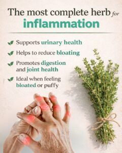 Thyme for Vertigo and Fibromyalgia: Effective Natural Remedies You Can Try at Home