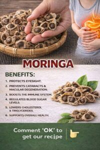 Moringa Seeds: The Natural Secret Your Body Has Been Waiting For