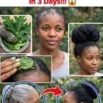 Papaya Leaf Hair Mask: How This Natural Treatment Could Transform Your Hair