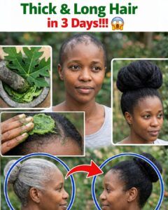 Papaya Leaf Hair Mask: How This Natural Treatment Could Transform Your Hair