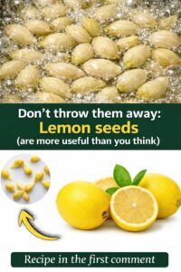 Lemon Seeds: Hidden Benefits, Nutritional Properties & Practical Uses