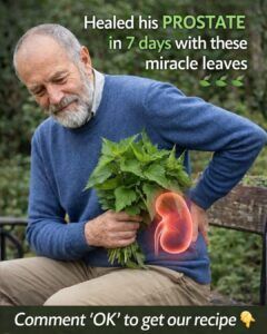 Nettle Root: When to Take It and How to Use It Safely