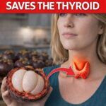 9 Everyday Fruits That Can Naturally Support Thyroid Health