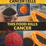 Top 10 Daily Foods That Help People Over 65 Protect Their Cells and Age Well