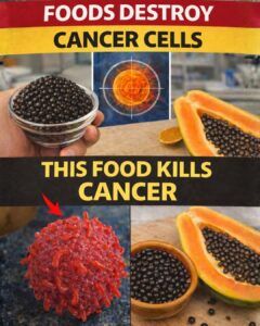 Top 10 Daily Foods That Help People Over 65 Protect Their Cells and Age Well