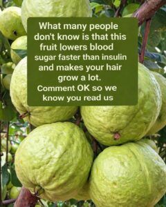 Guava Recipes for Balanced Blood Sugar and Stronger Hair – Natural Remedies that Work