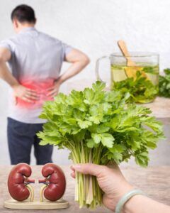 Refresh Your Kidneys Naturally: A Gentle Herbal Drink to Support Kidney Health
