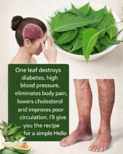 Neem Leaves for Better Health: Benefits, Uses, and How to Use Them Safely