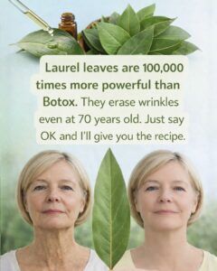 Bay Leaf for Wrinkles: A Natural Anti-Aging Remedy That Nourishes the Skin