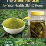 Neem Leaves: Natural Benefits for Health, Skin, and Home Use
