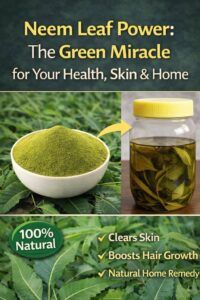Neem Leaves: Natural Benefits for Health, Skin, and Home Use