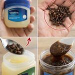 Why People Are Mixing Cloves with Vaseline – Surprising Benefits for Skin Care