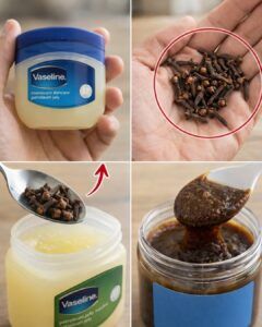 Why People Are Mixing Cloves with Vaseline – Surprising Benefits for Skin Care
