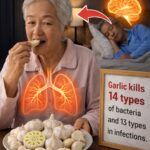 🌿 Does Garlic Really Kill 14 Types of Bacteria and 13 Infections? The Truth Revealed
