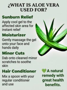 How to Prepare Aloe Vera Juice Step by Step (Easy & Healthy Recipe)