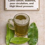 🌿 The Three Leaves Many People Are Using to Support Blood Sugar, Circulation, and Overall Health