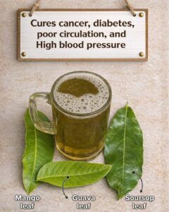 🌿 The Three Leaves Many People Are Using to Support Blood Sugar, Circulation, and Overall Health