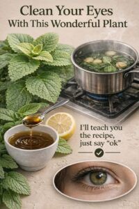 🌿 Oregano for Eye Health: Benefits, Uses, and Natural Ways to Support Clear Vision