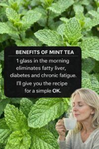 🌿 Spearmint (Hierbabuena): Benefits, Uses, and How to Prepare It at Home