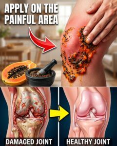 Papaya Seeds: A Simple Home Remedy to Support Joint Comfort and Daily Mobility