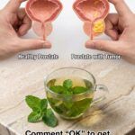 The Herbal Drink That Supports Prostate Health and Helps Reduce Cancer Risk