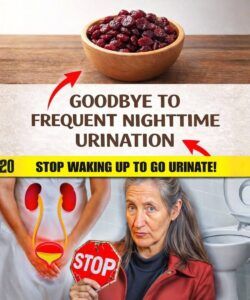 Over 60? Try These 3 Nuts Before Bed for Better Sleep and Nighttime Comfort