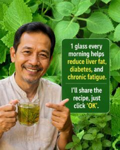 Mint and Lemon: A Refreshing Daily Drink That May Support Digestion, Hydration, and Natural Energy