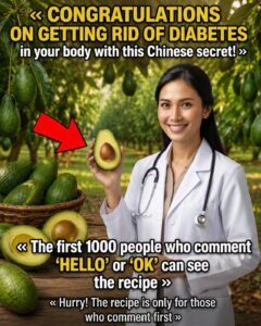 Avocado Seed Tea: A Traditional Herbal Drink to Support Everyday Wellness