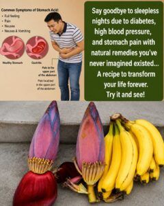 Banana Blossom: The Hidden Superfood Packed with Nutrients and Everyday Wellness Benefits 🌸🍌