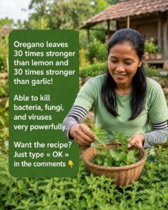 Complete Guide to Cinnamon, Garlic, and Oregano Infusion: A Traditional Herbal Drink for Everyday Wellness