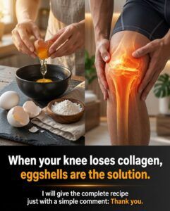 Can Everyday Eggshell Membranes Support Joint Comfort? What Science Says About This Simple Kitchen Habit