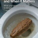 Why Your Stool Sometimes Floats—and When It Matters