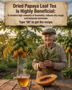 Papaya Leaf Tea: Benefits, How to Prepare It, and What You Should Know