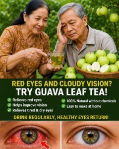 Guava for Eye Health: Can This Vitamin-Rich Fruit Help Support Tired, Red Eyes Naturally?
