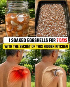 Eggshell Powder and Bone Health: A Simple Calcium-Rich Kitchen Ingredient Worth Understanding
