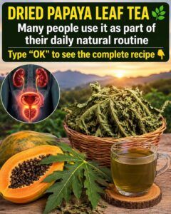 🍵 Papaya Leaf Tea: Benefits, Traditional Uses, and What You Should Know Before Drinking It