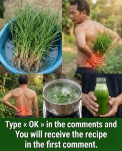 25 Traditional Uses of Cleavers (Galium aparine) for Natural Wellness