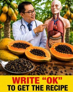 Papaya Seeds: A Simple Natural Habit More People Are Exploring for Everyday Wellness 🌿🥭