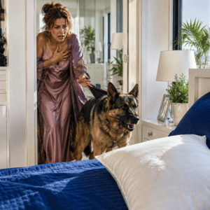 Estaba enferma y sola cuando mi perro empezó a aullar frente a la almohada y me empujó lejos de la cama. Mi esposo regresó un día antes y susurró: “Acuéstate, amor, yo te cuidaré”. Fingí obedecer, pero escondí una grabadora bajo la cobija… Esa noche escuché por qué querían declararme incapaz el viernes.
