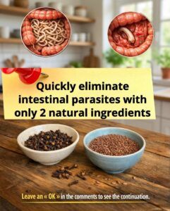 Flax Seeds and Cloves: Gentle Natural Support for Digestive Comfort and Colon Wellness
