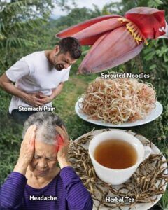 🌸 Banana Blossom: A Forgotten Superfood for Hormonal Balance, Digestion & Natural Vitality 🌿