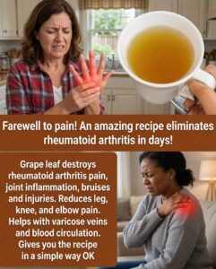 🌿 Thyme: A Traditional Herb Known for Its Many Wellness Benefits and Simple Home Uses ✨💚