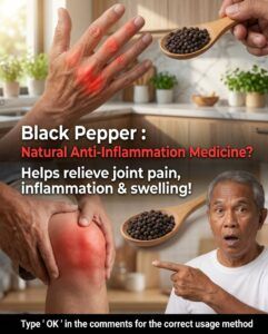 Can Black Pepper Help Support Foot and Joint Comfort? Discover Its Natural Wellness Benefits