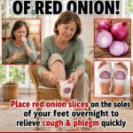 🌙 The Surprising Onion-in-Socks Trick: Can It Help Ease Nighttime Coughs and Nasal Congestion?