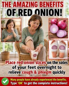 🌙 The Surprising Onion-in-Socks Trick: Can It Help Ease Nighttime Coughs and Nasal Congestion?
