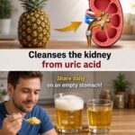 10 Kidney-Friendly Superfoods That May Help Support Wellness When Protein Appears in the Urine 🌿🫘💧